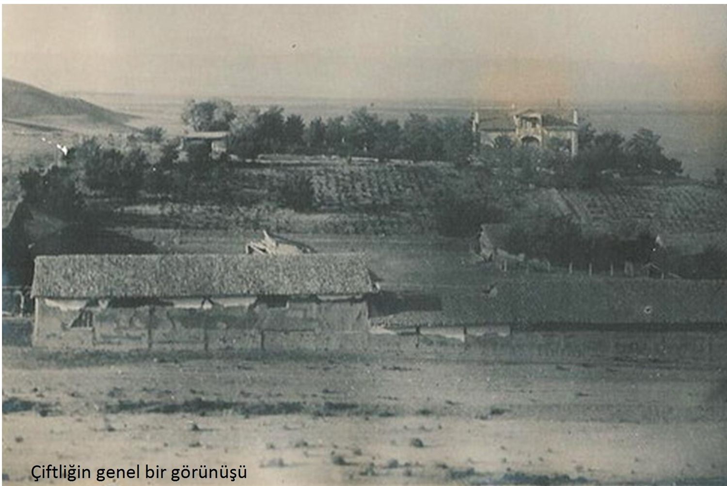 Çiftliğin genel görünüşü: uzun kiremitli bir yapı, arkada bağlar ve ağaçlar arasında bir köşk
